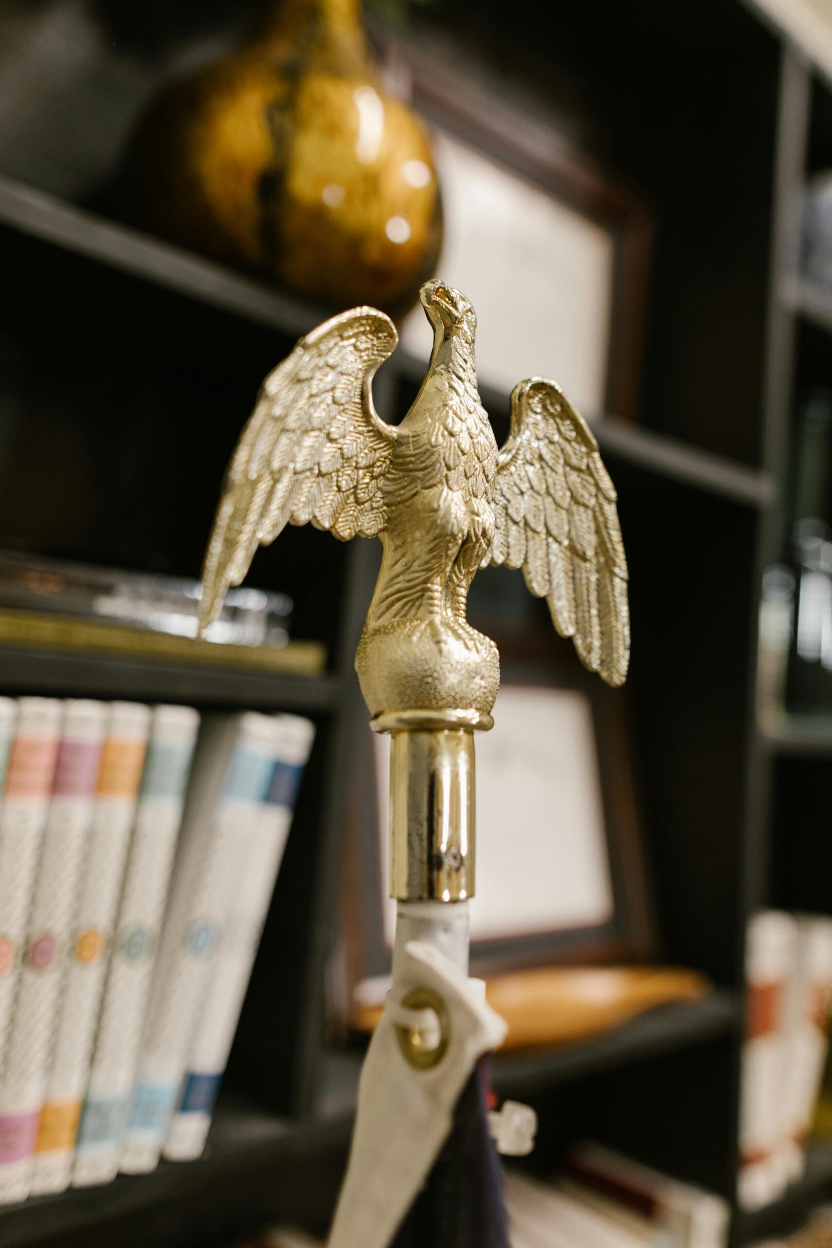Bird Law: What You Need to Know About Avian Legal Rights
