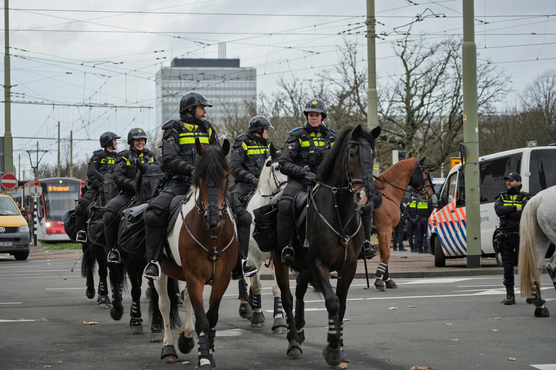 Understanding 5 Key Police Powers in Public Spaces