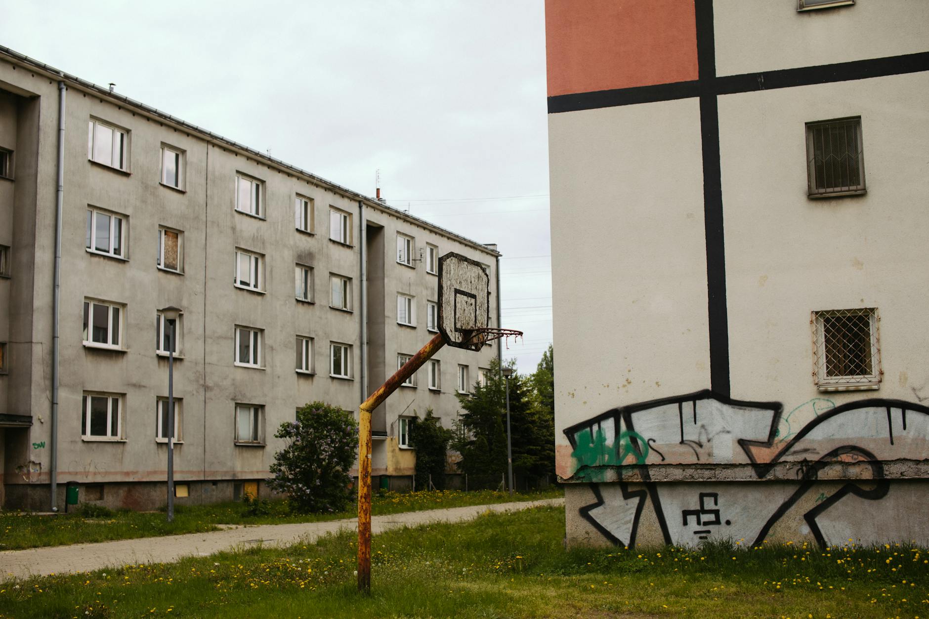 Understanding the 4 Key Elements of Neglect Crime