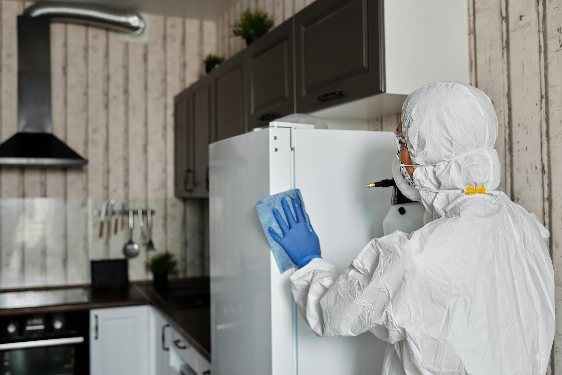 Domestic Homicides: 75% of Cases Linked to Prior Signs of Abuse and Neglect
